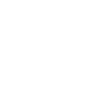 A|N Skin & Beauty logo